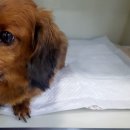 두암한방병원 이미지