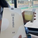 이호리조트 | [제주]250904~6 딩미니코 여행 1일차 이호테우/픽업카페/숙성도/김녕/더큐브리조트