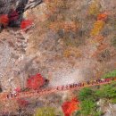 강천산(대구) 이미지