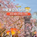 대미플러스 | [일본 오사카] 봄 벚꽃 밤산책 코스! 일본 감성여행 추천