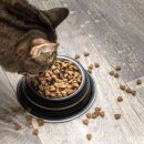 하이 동물병원 이미지