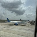 세렝게티로 가는 여정 그리고 공항 탄자니아 유심 보다컴 가격