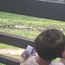 대월놀이공원 이미지