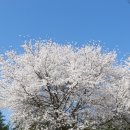 양지리 농장 이미지