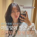 광교 차홍룸 심연주 디자이너 애쉬브라운 염색 후기🤎 여름휴가 준비 제니 모카무스 염색