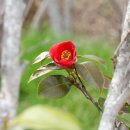 한마음행복협동조합 이미지