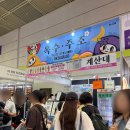 2026 서울국제주류&amp;와인박람회 / 코엑스 주류박람회 첫날 목요일 오픈런 후기