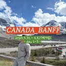 [여행/캐나다]🇨🇦 7박 9일 캐나다 밴프 여행 day1~3 / 캘거리에서 재스퍼까지 렌터카 자유여행 / 재스퍼...