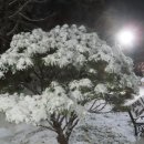 참새의 정원 이미지