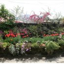 칠복농장 이미지