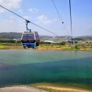 바다와소나무 이미지