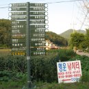 행운낚시터 이미지