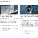 세이프티필름