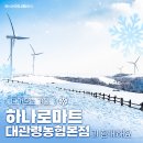대관령 마트