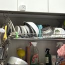 매일향 | 살림백서 주방세제 솔직 후기｜라이스&amp;허브 향, 매일 쓰기 좋은 이유