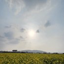 몸냥스테이 이미지