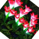 아름다운쇼핑나라 이미지