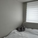 마네모네 이미지