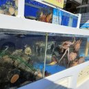 어촌해물탕 이미지