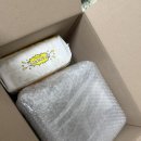 조이캐슬 | 도마뱀 용품, 두렙 캐슬 중형 사육장 구매 후기!