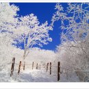 컴퓨터초보 이미지