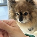 카페네이비 이미지