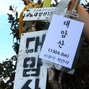 정상표시 이미지