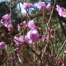 조약돌민박 이미지