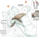 문스짐 2호점 PT샵 이미지