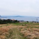 제주 셋알오름 일제 고사포진지 이미지