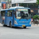 대양약국 이미지