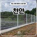 보리수 - 여수시 중앙로 50-1 | 천안휀스 시공 후기, 보리수 A형 접이식쌍문으로 사유지 출입까지 편리하게