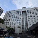 메종카 | 메종 글래드 제주 주차 조식 뷔페 사우나 수영장 객실 후기