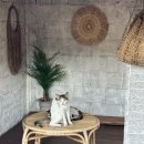 석교리 120 이미지