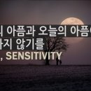 해피데이 이미지