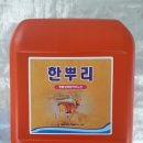 썬바이오텍 네이버블로그