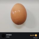 봉이마켓
