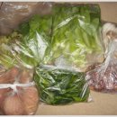 권순호농장 이미지