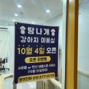 탐나개 이미지