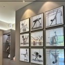 라포레필라테스 - 강남구 봉은사로 430 | 라포레필라테스