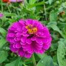 진안마이돈 이미지