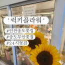 럭키플라워인천