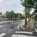 기장읍 내리새라도서관 네이버블로그