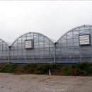 매향농장 이미지