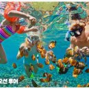 오션투어 이미지