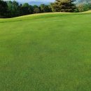 잔디골프아카데미 이미지