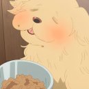 보람마켓