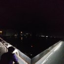 숲속애바다실내낚시터 | 제이앤디실내바다낚시터 인천점 후기