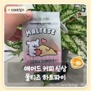 매머드커피 신메뉴 몰티즈 하트파이 솔직 후기