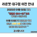 라온캣 대구고양이분양 낭만펫 강아지분양 대구점 이미지
